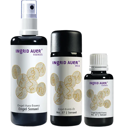 Bild einfügen