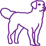 für Tiere