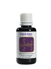 Engel-Transformationsessenz No. 06 "Engel für Integration der Spiritualität"; 30 ml