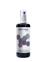 Engel-Aura-Essenz "Energetische Reinigung"; 100 ml