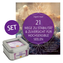Set Engel-Transformationssymbole (Buch & Praxissymbole)