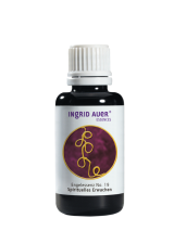Engelessenz No. 19 Engel für spirituelles Erwachen; 30 ml