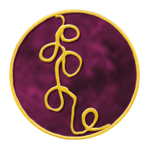 Engelsymbol No. 19 Engel für spirituelles Erwachen