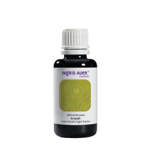 Meisteressenz Joseph. Vaterbeziehung heilen