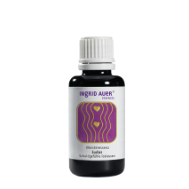Meisteressenz Judas. Schuldgefühle loslassen; 30 ml