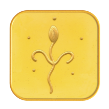 Meistersymbol Kuthumi