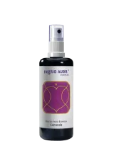 Master Aura Essence "Sananda"; 100 ml