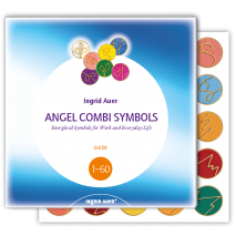 Combi Set: Guía en inglés + Símbolos Set1