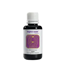 Meisteressenz "Judas. Schuldgefühle loslassen"; 30 ml