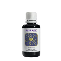 Meisteressenz "Maximinus. Veränderung annehmen"; 30 ml